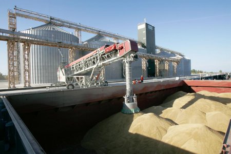 Минсельхоз: в этом году будет поставлен рекорд по экспорту зерна