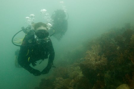 ​Учёные создали субстанцию, позволяющую дышать под водой