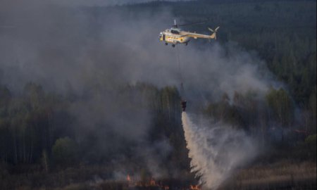 Пожары под Чернобылем – фото и видео