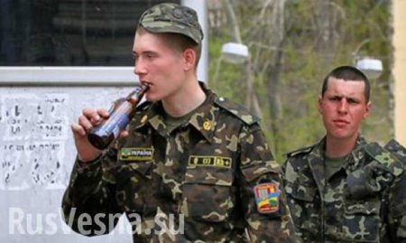 Украинские СМИ: Командиры ведут войну с пьянством среди мобилизованных