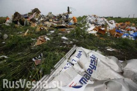Робертс: доклад по Boeing MH17 никто не видел, потому что улик против России нет 