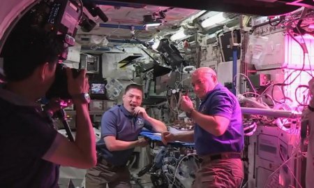 На МКС впервые в истории попробовали выращенные на орбите овощи