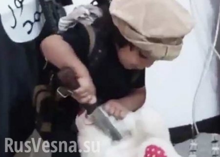 Малыш из ИГИЛ, подражая палачам, обезглавил плюшевого мишку (ВИДЕО)