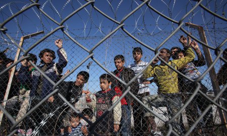 Срочно: мигранты прорвались на территорию Венгрии: к границе стягивают войска