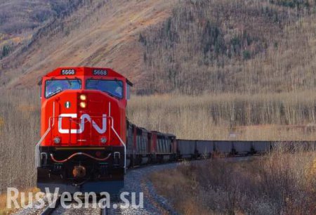 Поезд, отправленный с Украины в Китай по «Шелковому пути», потерялся в Казахстане