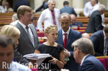 Тимошенко и «Самопомощь» начали сбор подписей за отставку Яценюка