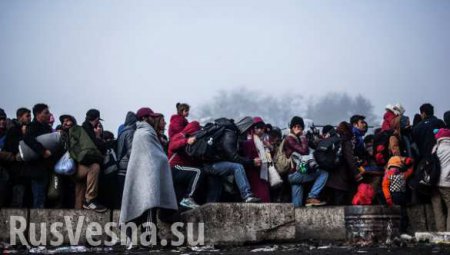 За отказ мигрантам власти Бельгии будут оштрафованы
