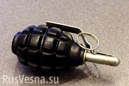 Рядом с детским театром в Москве нашли сумку с гранатой