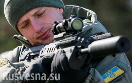 Киев перебросил под Донецк группу польских снайперов