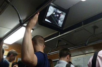 В Киеве хакеры взломали мониторы метро и разместили на них снимки котов