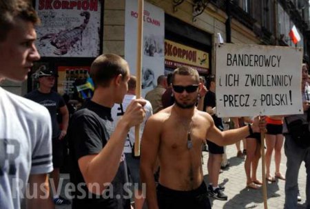 «Бандеровцы и их сторонники — вон из Польши», — в Перемышле разгоняли украинскую демонстрацию (ФОТО)