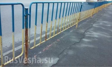 Я научу тебя Украину любить — в Днепропетровске «патриот» покрасил забор соседа-«сепаратиста» в цвета флага (ФОТО, ВИДЕО)