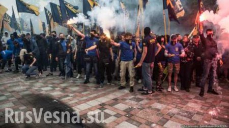 Киев на государственном уровне взращивает ненависть у подрастающего поколения, — вице-спикер Госдумы