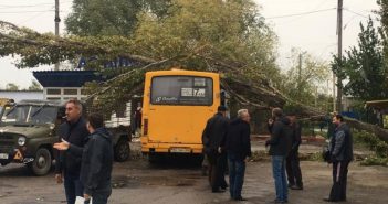 Ураган в Одесской области: поваленные деревья и затопленные дома