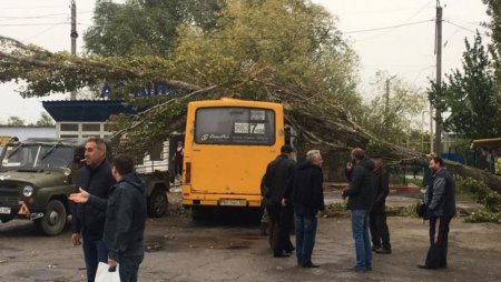 Ураган в Одесской области: поваленные деревья и затопленные дома
