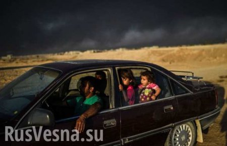 Бегство ИГИЛ: горит химзавод у Мосула (ФОТО)