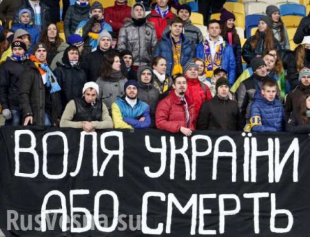 Сборной Украины грозит дисквалификация за нацистские лозунги (ВИДЕО)