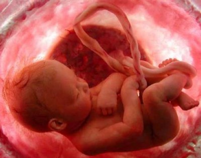 Финские родители увидели свою дочь в утробе с помощью виртуальной реальност ...