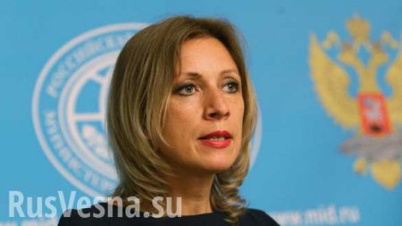 Украина заблокировала заявление Совбеза ООН, посвящённое Чуркину, — Захарова
