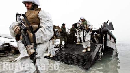 НАТО готовится к арктической войне «на заднем дворе Путина», — Daily Star