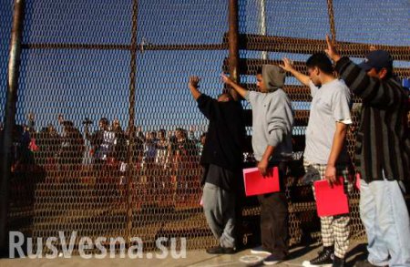 Поток нелегальных мигрантов из Мексики за время президентства Трампа сократился на 40%