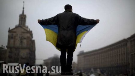 Почему украинская власть рушит собственную экономику