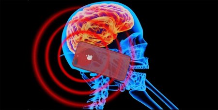 Излучение iPhone воздействует на мозг человека
