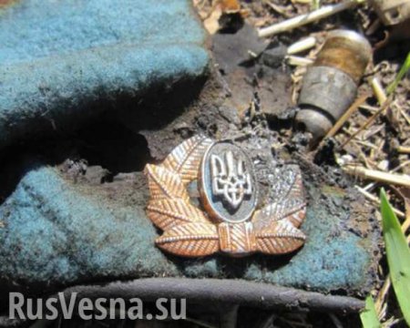 Потери ВСУ с начала конфликта на Донбассе составили около 30 тыс. человек — Захарченко