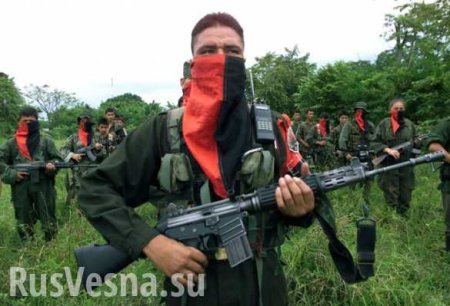 Расстрелянные повстанцы и ядовитые лягушки: Что делали двое русских в джунглях Колумбии