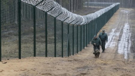 Забористый вопрос: Латвия хочет отгородиться от Белоруссии стеной с колючей проволокой