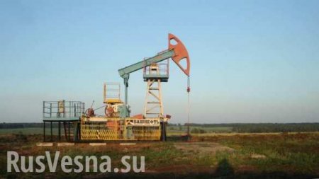 Россия и Саудовская Аравия поддержали рынок нефти