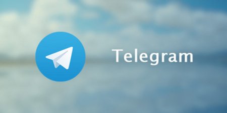 Пользователи Telegram собирают петицию против блокировки соцсети