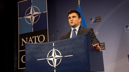 «Коррупция, ужасная логистика и полуразрушенный ОПК»: эксперты о том, чему НАТО может «поучиться» у Украины