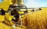 Россия может поставлять в Китай миллионы тонн зерна
