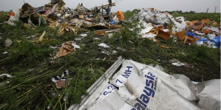 Дело о сбитом самолете рейса MH17 рассмотрит суд Нидерландов
