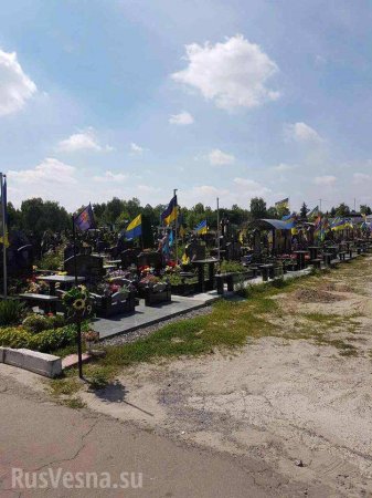 Думаете всё хорошо? — украинцы в шоке от количества новых могил «атошников» в Киеве (ФОТО)