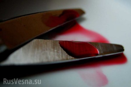 Дикая Украина: В Киеве парикмахера убили из-за неудачной прически | Русская весна