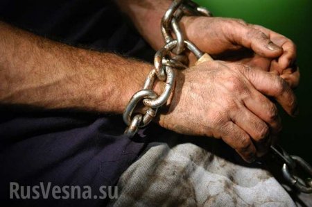Около 200 украинцев попали в рабство в Британии | Русская весна