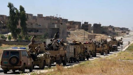 В окруженном иракскими войсками Тель-Афаре остаются до двух тысяч боевиков - Военный Обозреватель