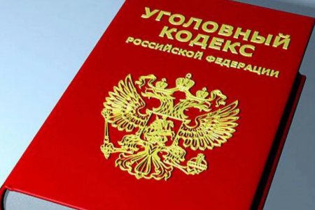 Власти предлагают внести коррективу в УК РФ 