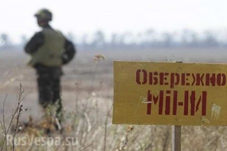 ЛНР: Командиры ВСУ пытались продать «побратимам» карты минных полей