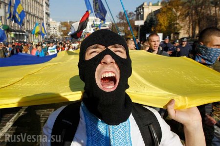 «Европейская» Украина: нацисты вместо закона
