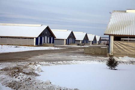 Молочный комплекс на 4600 голов открылся в Тюменской области