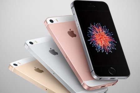 Apple поменяет батареи iPhone с двукратной скидкой‍