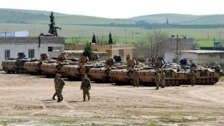 Армия Турции заявила об уничтожении 557 солдат противника