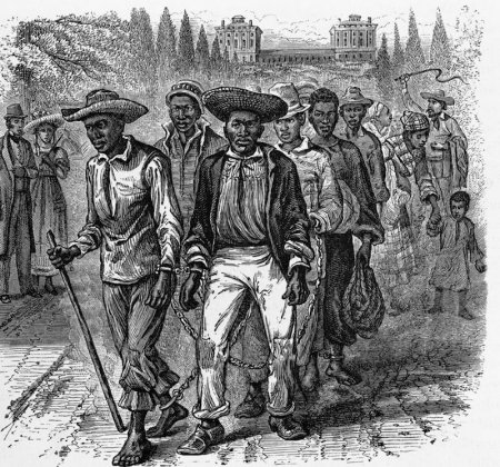 Труд раба в США был на 35 % выгоднее, чем труд свободного
