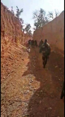 Восточная Гута 1 марта 2018: траншейная война в районе базы ПВО, наступление в садах Харасты