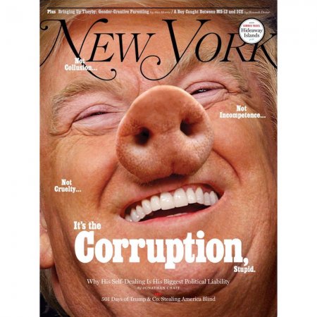 Американский журнал изобразил на обложке Трампа в виде свиньи