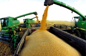 Россия бьет и Европу, и США на мировом рынке зерна