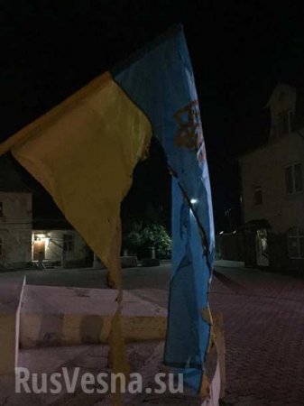 Подо Львовом сожгли флаги Украины (ФОТО)